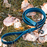 Adventure Leashes