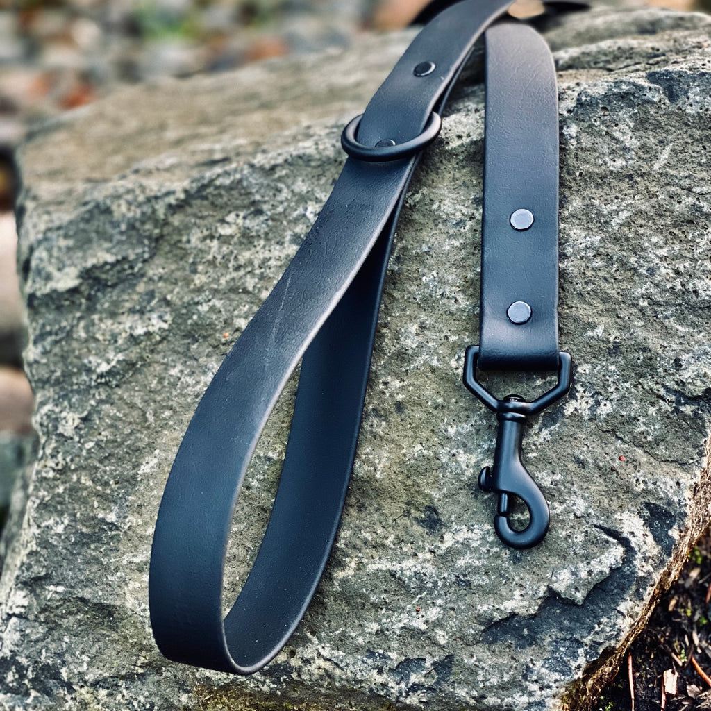 Stealth Leash Black Dog Leash K9 Leash Muddy Paws Adventures